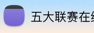 五大联赛在线平台 logo